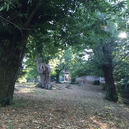 Rifugio Di Nonna Pia 度假居 San Vito (Umbria)