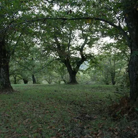 Rifugio Di Nonna Pia Feriehus *